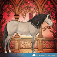 Horse Color:Amber Champagne Dun 