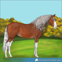 Horse Color:Silver Bay Splash