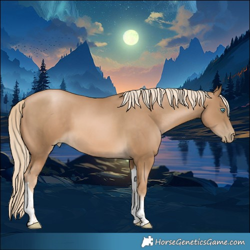Horse Color:Chocolate Palomino Pearl Tobiano 