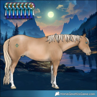Horse Color:Chocolate Palomino Pearl Tobiano