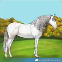 Horse Color:Brown Snowdrop Pearl Splash Tobiano Appaloosa