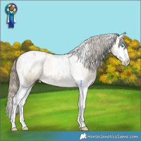 Horse Color:Brown Snowdrop Pearl Splash Tobiano Appaloosa