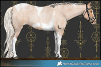 Horse Color:Silver Blue Roan Pearl Tobiano Frame 