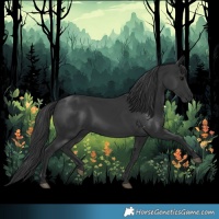 Horse Color:Black 
