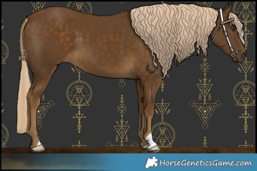 Horse Color:Chocolate Palomino Mushroom 