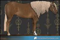 Horse Color:Chocolate Palomino Mushroom 