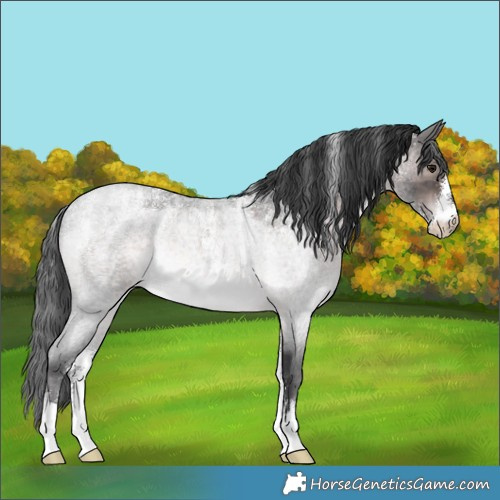 Horse Color:Powder White Platinum Brown Roan Rabicano 