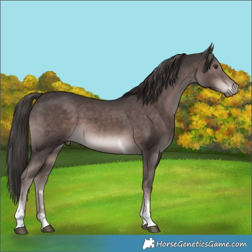 Horse Color:Platinum Liver Chestnut Tobiano 