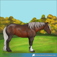 Horse Color:Silver Brown Sabino 