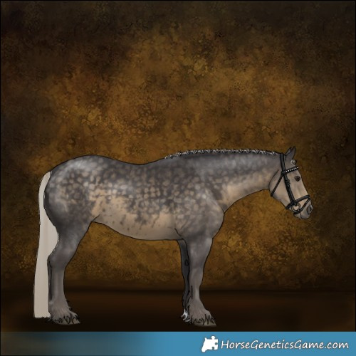 Horse Color:Silver Smoky Black