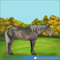 Horse Color:Silver Smoky Black 