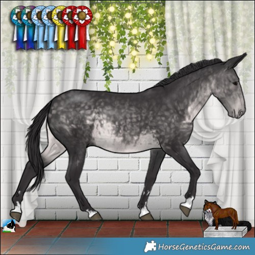 Horse Color:Platinum Buckskin Rabicano 