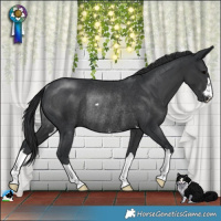 Horse Color:Platinum Black Rabicano