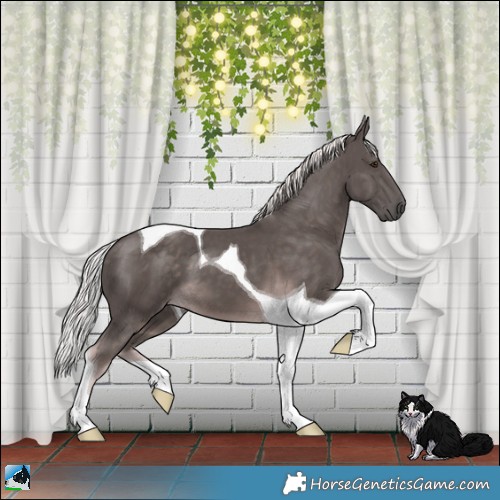 Horse Color:Platinum Chocolate Palomino Tobiano