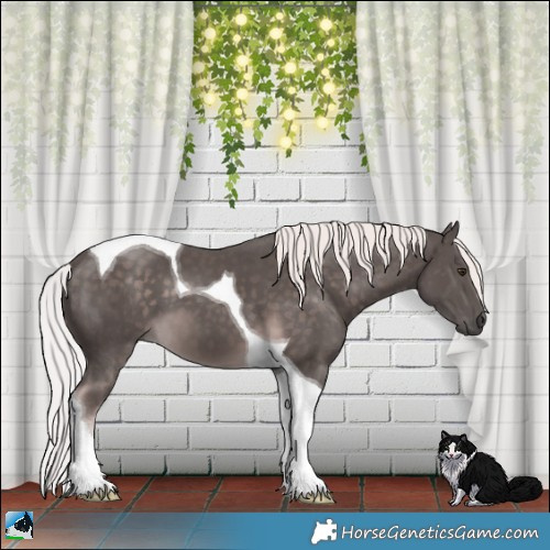Horse Color:Platinum Chocolate Palomino Tobiano 