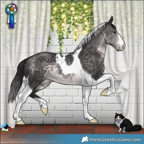 Horse Color:Platinum Buckskin Tobiano 