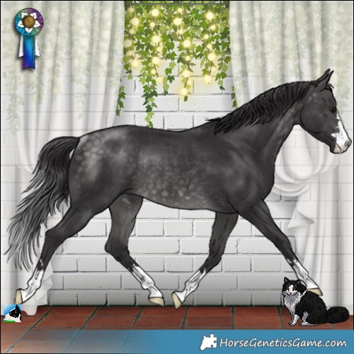 Horse Color:Platinum Buckskin Rabicano 