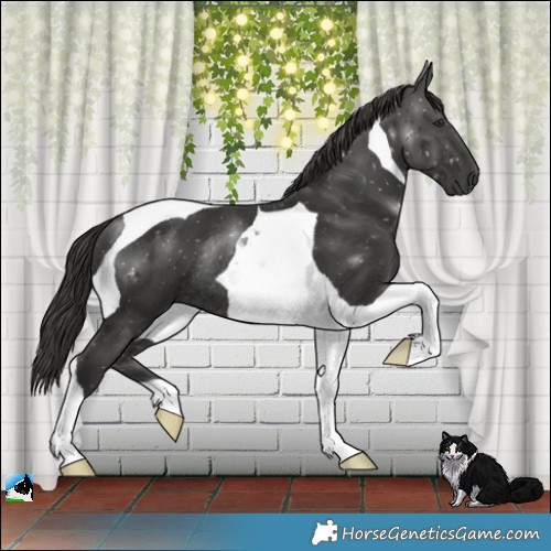 Horse Color:Platinum Liver Chestnut Tobiano Rabicano 