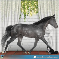 Horse Color:Platinum Brown Rabicano 