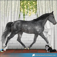 Horse Color:Platinum Brown Rabicano 