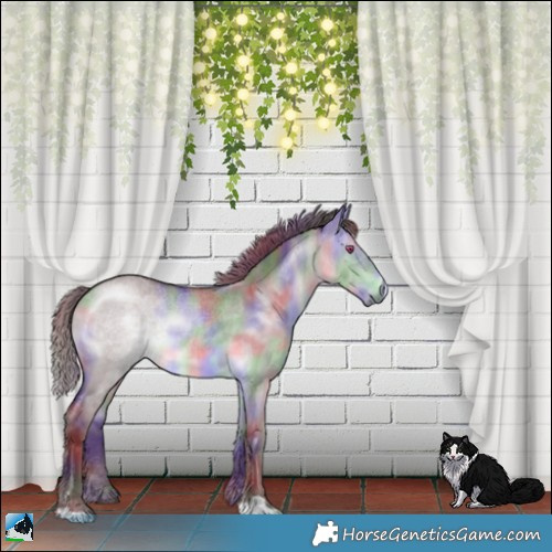 Horse Color:Nacre Chocolate Brown Chinchilla Dun 