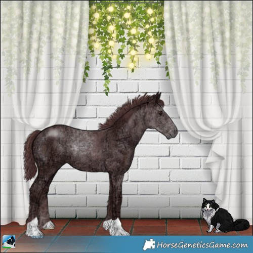 Horse Color:Chocolate Black Chinchilla Ice 