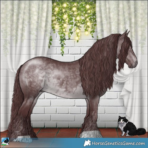 Horse Color:Chocolate Brown Chinchilla