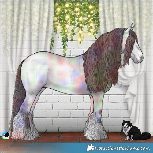 Horse Color:Nacre Plaid  Chocolate Brown Chinchilla Onyx 