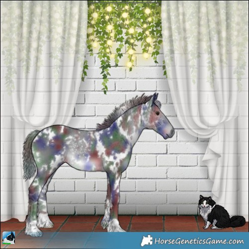 Horse Color:Nacre White Spotted Black Chinchilla 