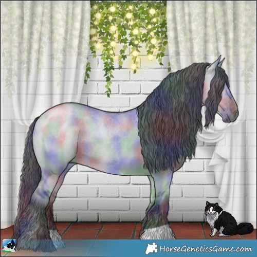 Horse Color:Nacre Grullo Chinchilla