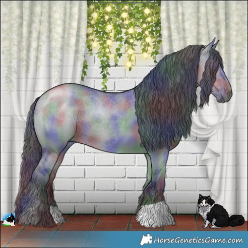 Horse Color:Nacre Grullo Chinchilla 