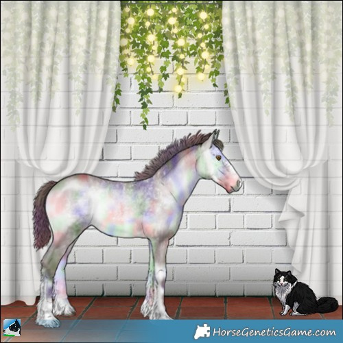 Horse Color:Nacre Chocolate Brown Chinchilla Onyx Sabino 