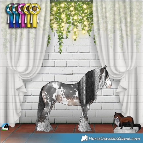 Horse Color:White Spotted Brown Sabino Rabicano 