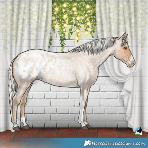 Horse Color:Silver Blue Roan Pearl Tobiano Frame Blanket 