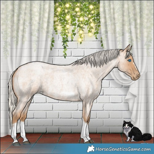 Horse Color:Silver Blue Roan Pearl Tobiano Frame 