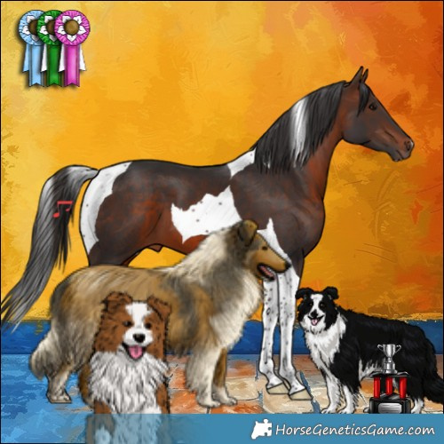 Horse Color:Brown Tobiano 