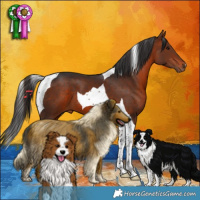 Horse Color:Brown Tobiano 