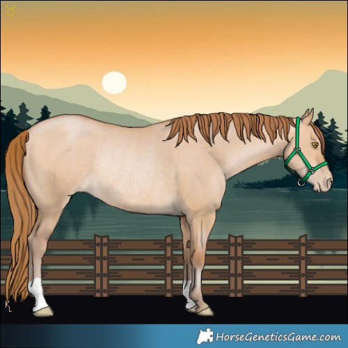 Horse Color:Bay Pearl Dun Rabicano