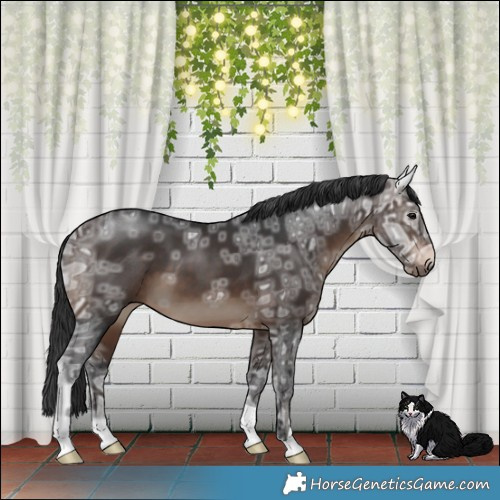 Horse Color:Brown Ice 