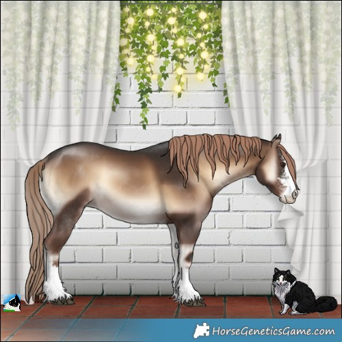 Horse Color:Liver Red Onyx Sabino Rabicano 