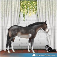 Horse Color:Brown Mushroom Sabino 