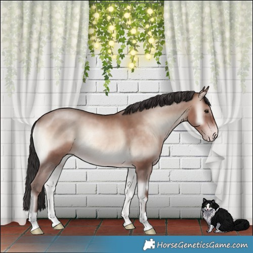 Horse Color:Sable Champagne Onyx Mushroom 