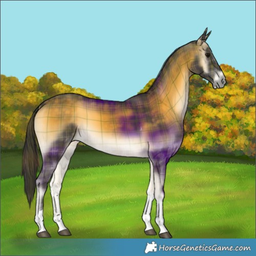 Horse Color:Plaid  Buckskin Onyx Tobiano 