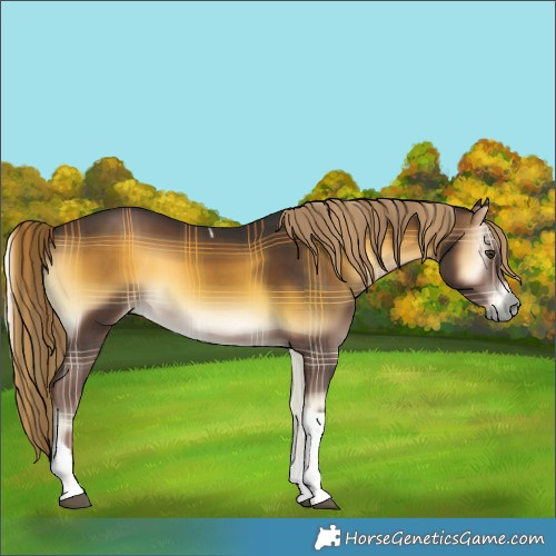 Horse Color:Plaid  Liver Red Onyx Tobiano 