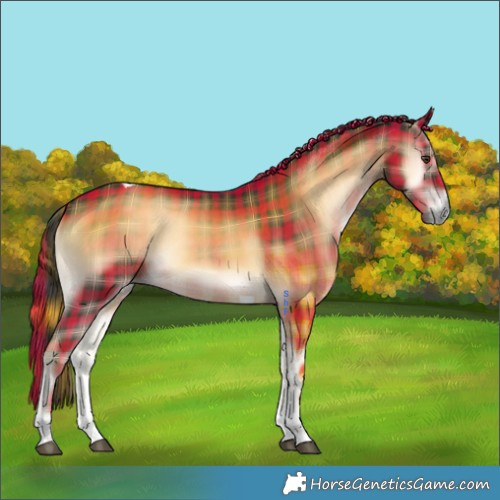 Horse Color:Plaid  Liver Red Onyx Tobiano 