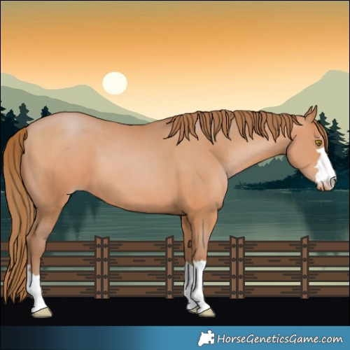 Horse Color:Brown Pearl 