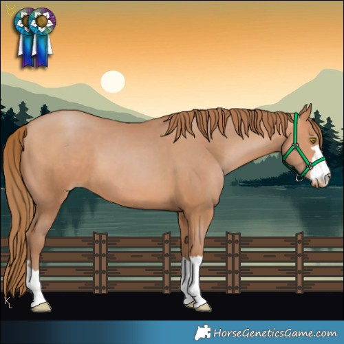 Horse Color:Brown Pearl