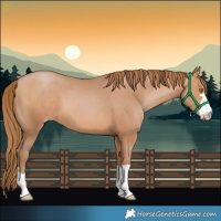 Horse Color:Brown Pearl 