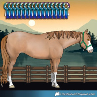 Horse Color:Brown Pearl 