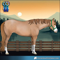 Horse Color:Brown Pearl